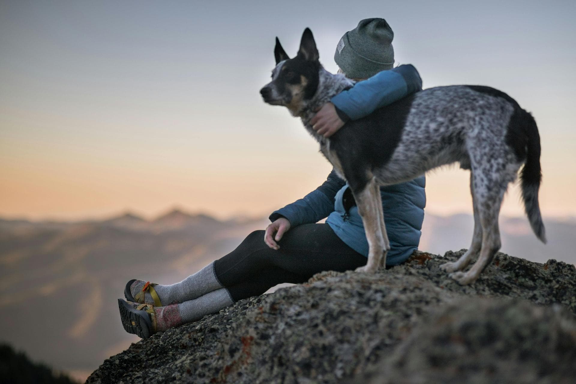 Specialist Vets in Newtownards